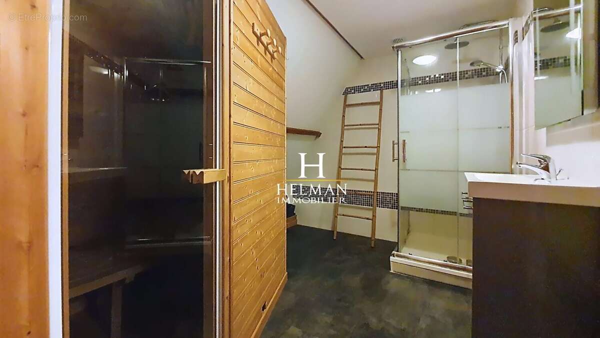 grande maison - Maison à ALEMBON