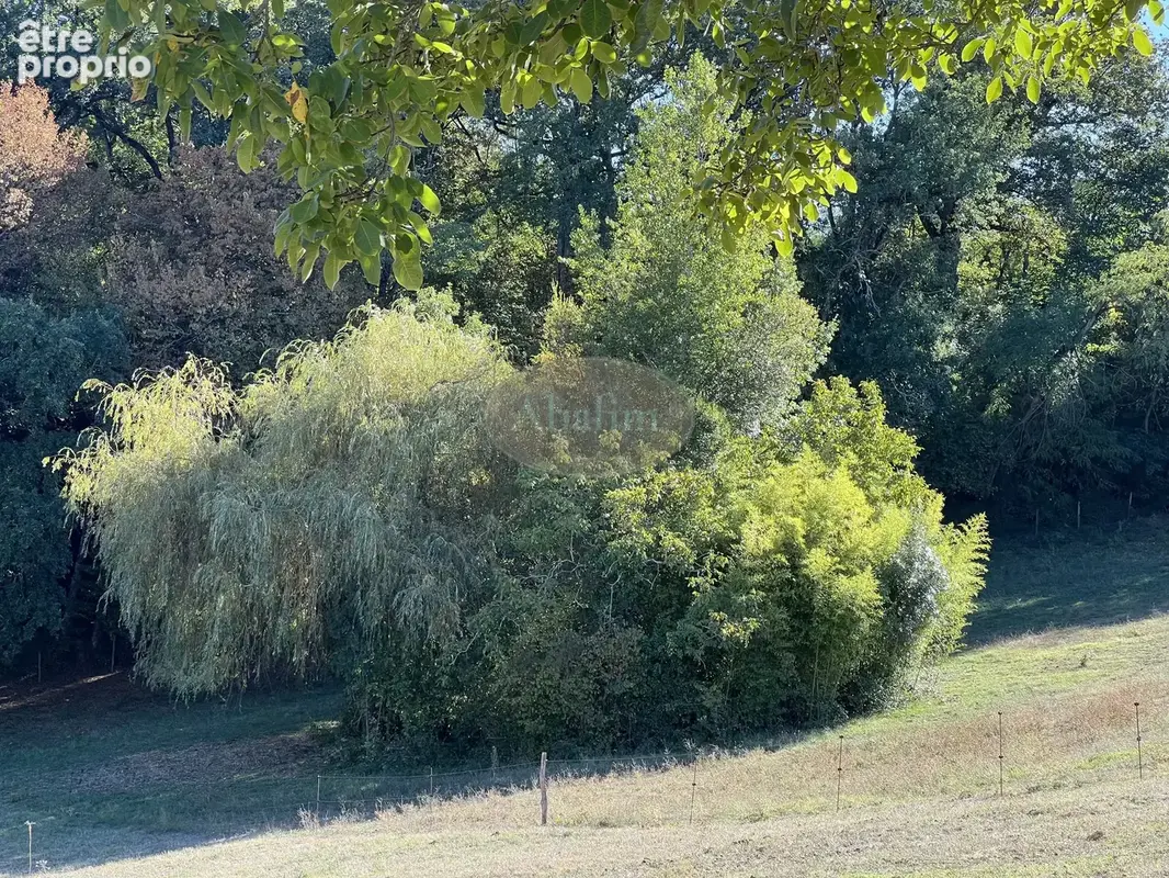 Très Beau Domaine 10ha - photo 43