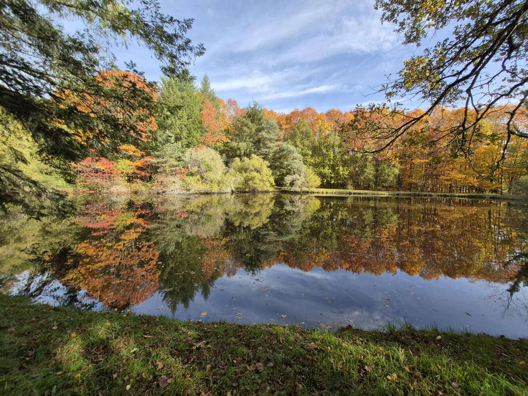 20251031_105844 - Terrain à PIEGUT-PLUVIERS