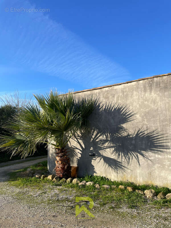 Maison à FOURQUES