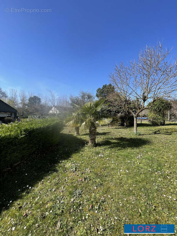 Maison à BERRY-BOUY