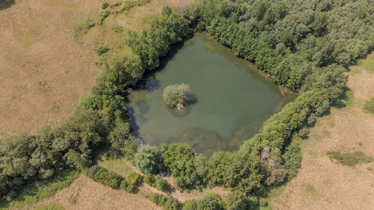 Propriété d'exception sur 35ha avec lac privé et vue panoramique - photo 29