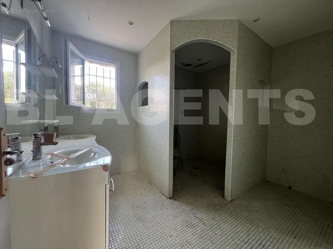 IMG_9255 - Maison à SAINT-HILAIRE-DE-BRETHMAS