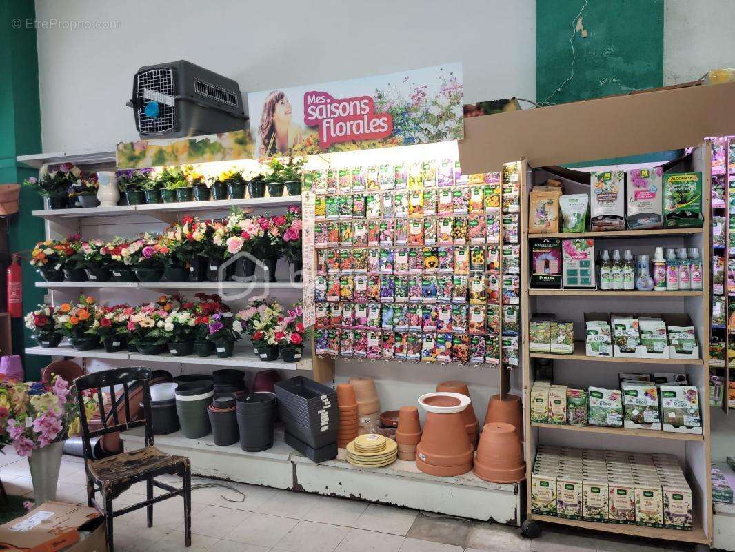 Commerce à MONTAUBAN