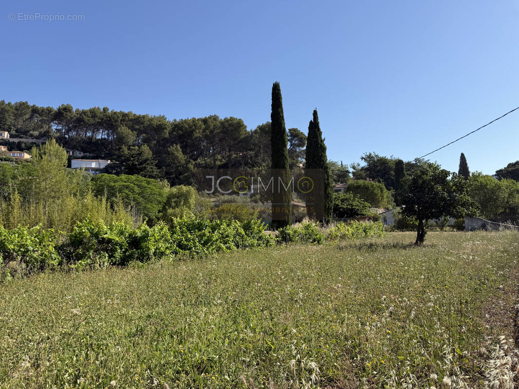 Terrain à SOLLIES-PONT