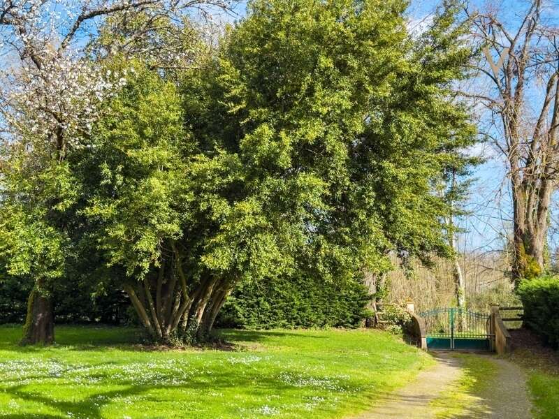 Propriété équestre de standing – Installations haut de gamme – 5 ha – Un bien rare offrant des infrastructures professionnelles, - photo 21