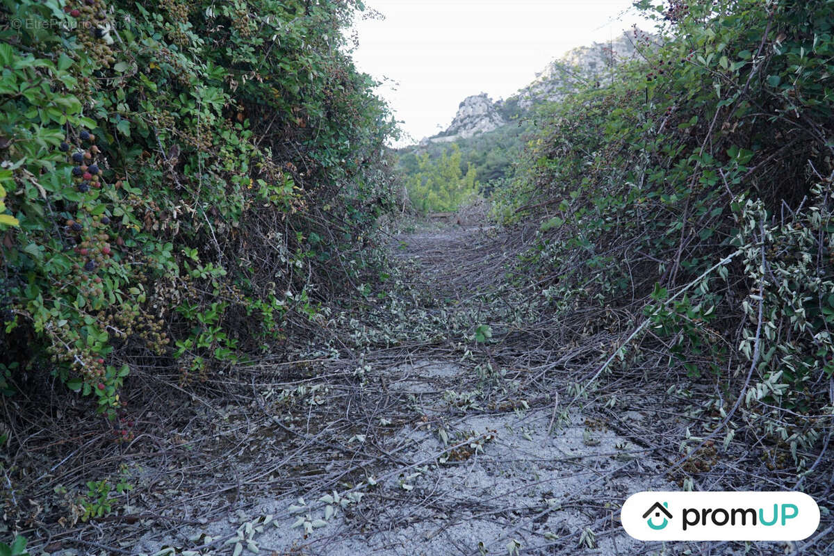Terrain à SAINTE-AGNES