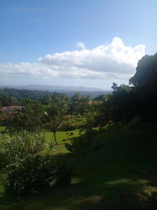 Photo 3 - Terrain à GROS-MORNE