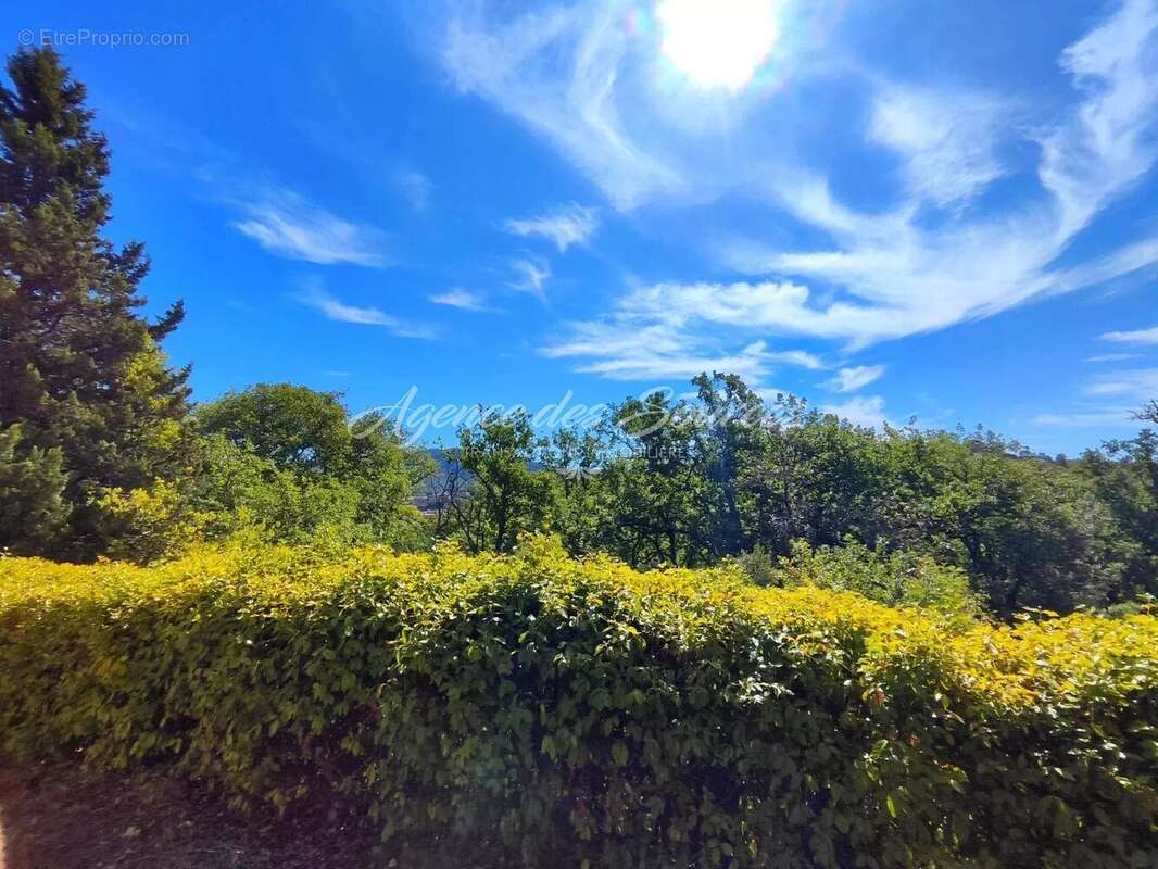 Villa plain-pied sur 5 360 m² de terrain à Bras - photo 3