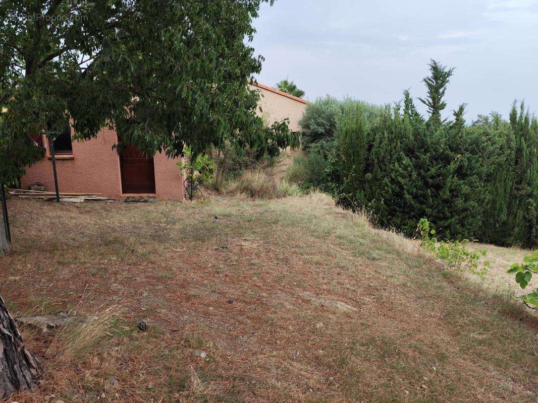 Terrain constructible avec vue sur les Albères - photo 6