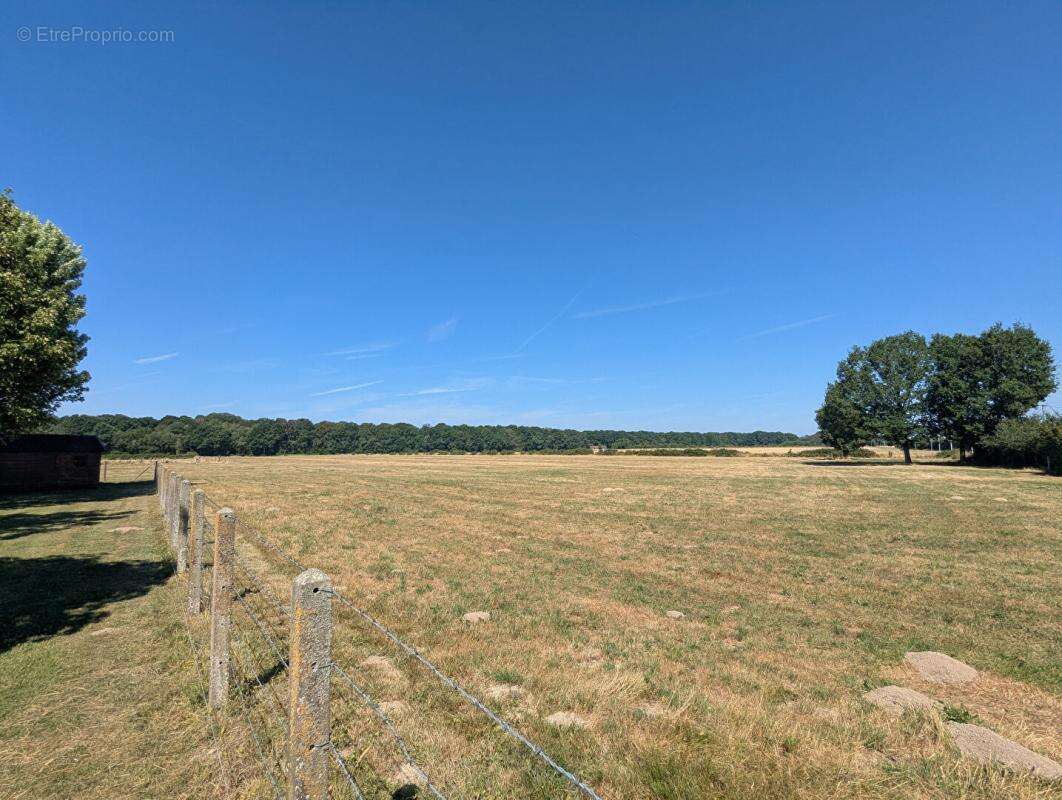 Propriété 150 m2  4 chambres Parcelle 2 700 m2 (Possibilité d'acquérir 7ha en +) - photo 14