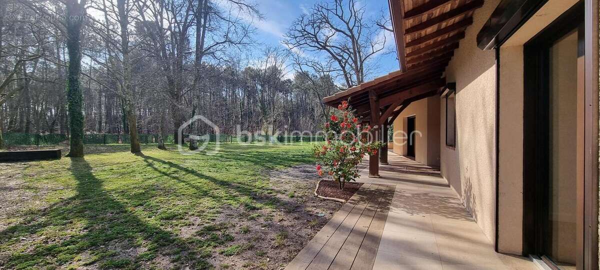 Maison à SAINT-MICHEL-ESCALUS