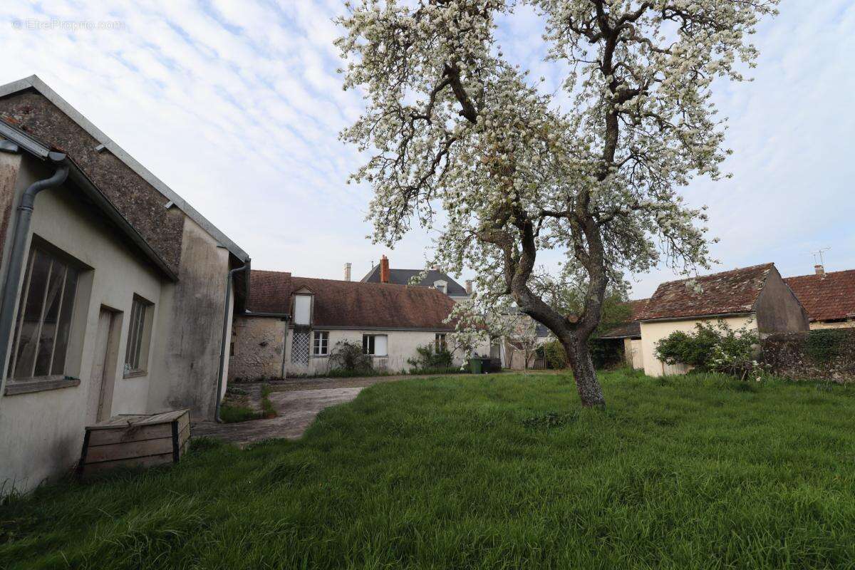 Maison à CLERE-LES-PINS