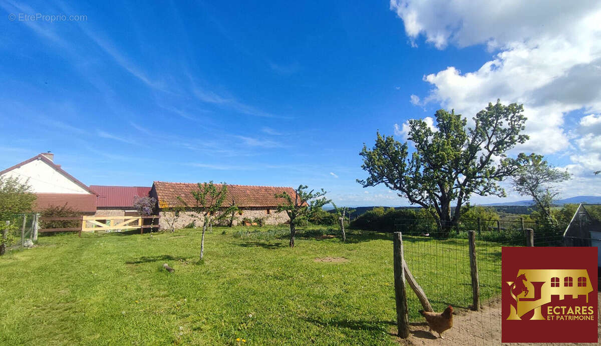 Propriété équestre 12,9 hectares - photo 15