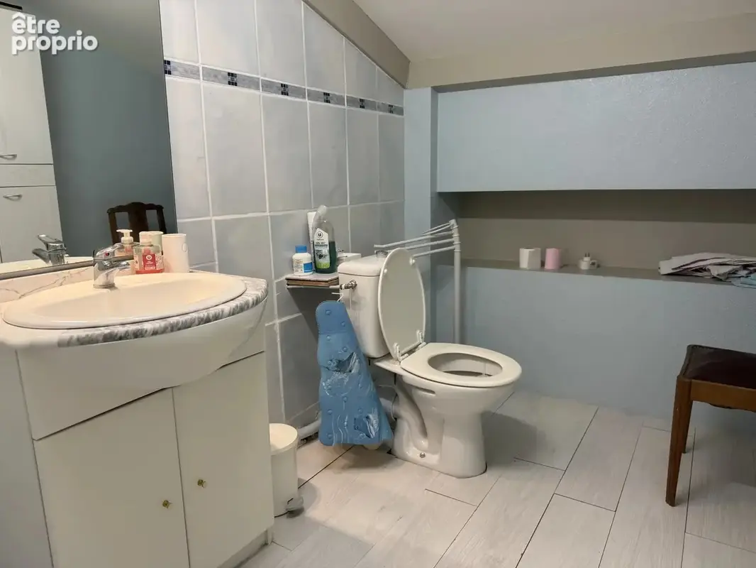 FERME de 248m² - 1hectare48a78ca avec étangs - photo 26