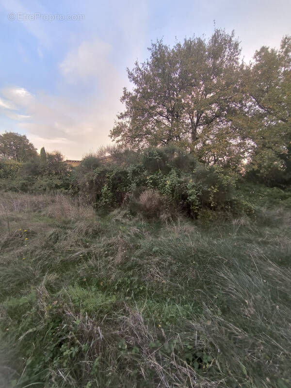 Terrain à SAINT-GENIES-DE-MALGOIRES