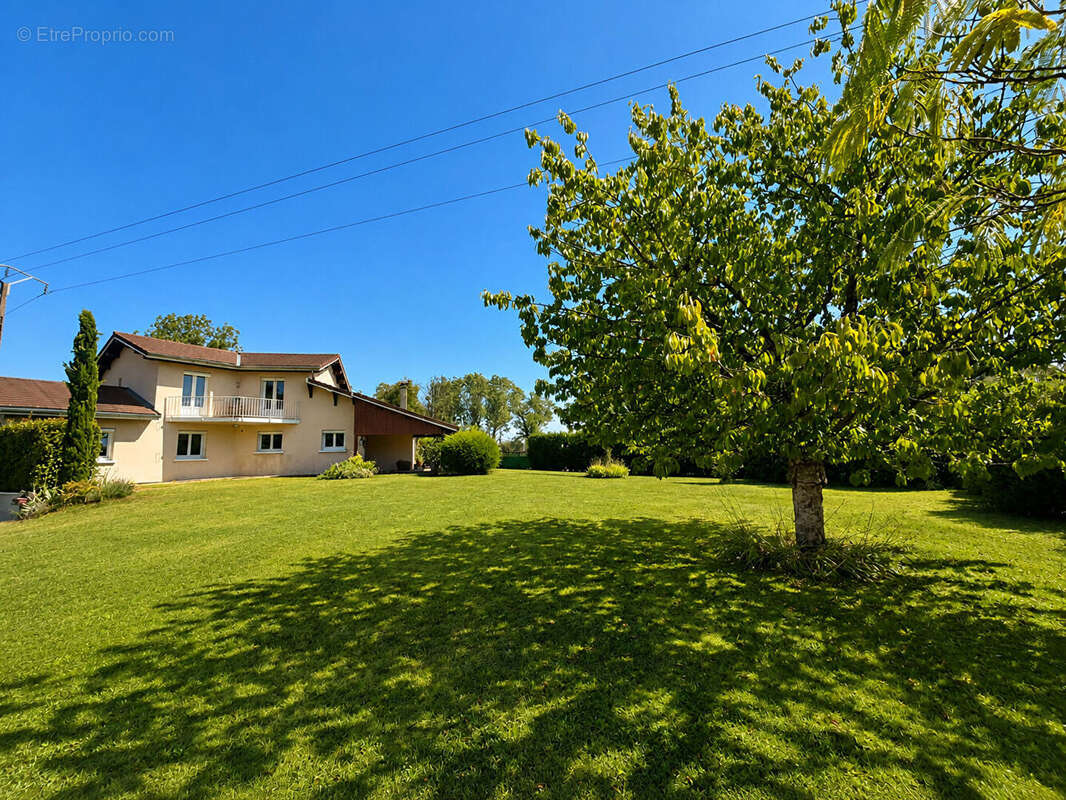 Maison 185m² à château-gaillard - photo 17