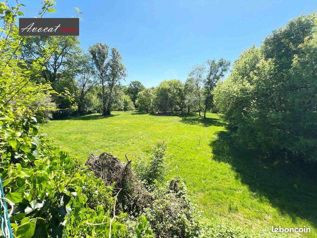 Maison à PUJOLS-SUR-CIRON