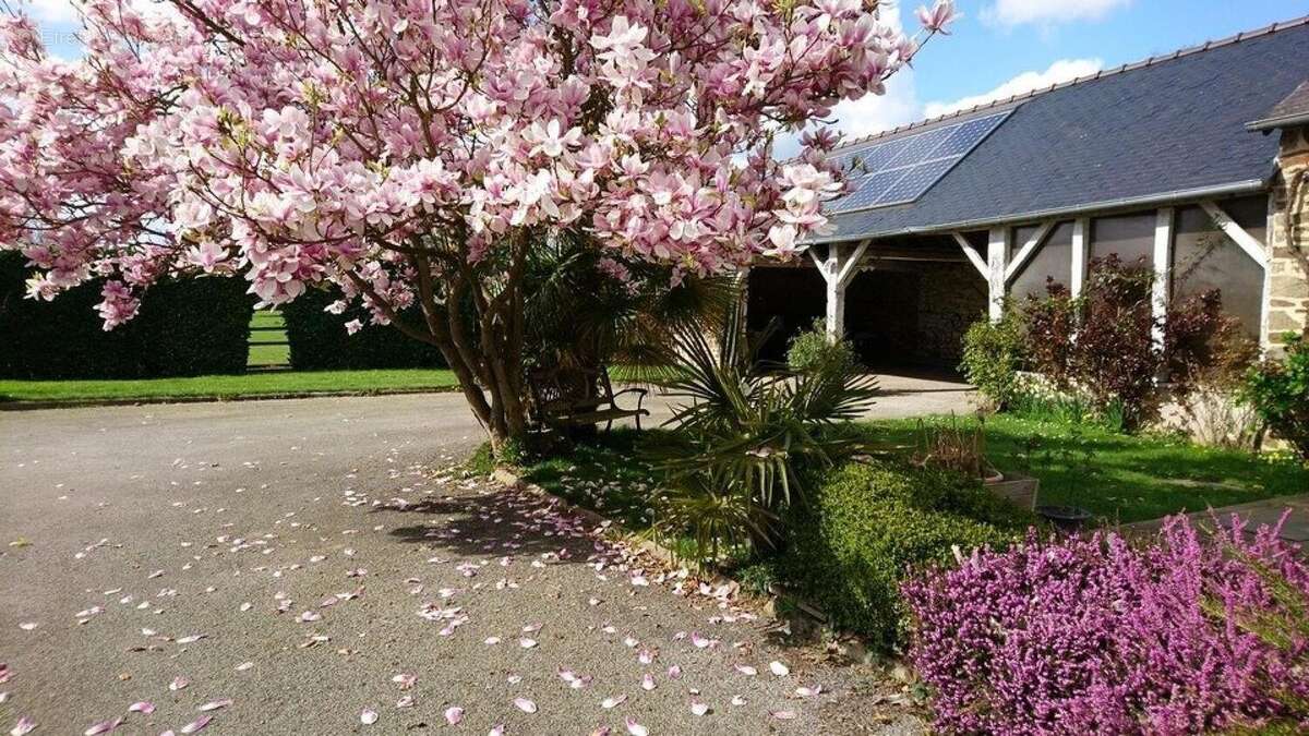 Photo 8 - Maison à MONTENAY