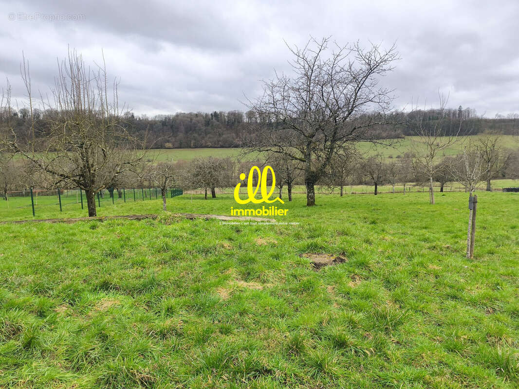 Terrain 3220 m² à Francheval  - photo 4