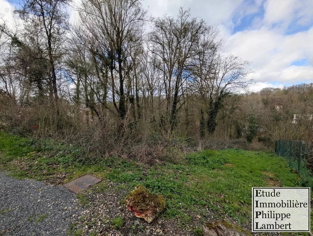 Terrain à FONTAINE-LE-PORT