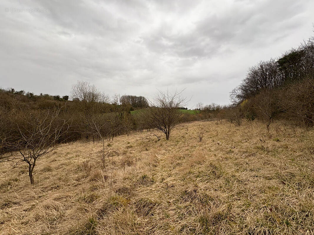 Terrain à SAINTE-GENEVIEVE