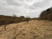 Terrain à SAINTE-GENEVIEVE