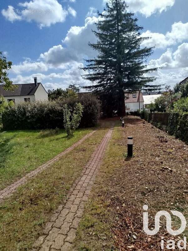 Photo 5 - Terrain à VERRIERES-LE-BUISSON