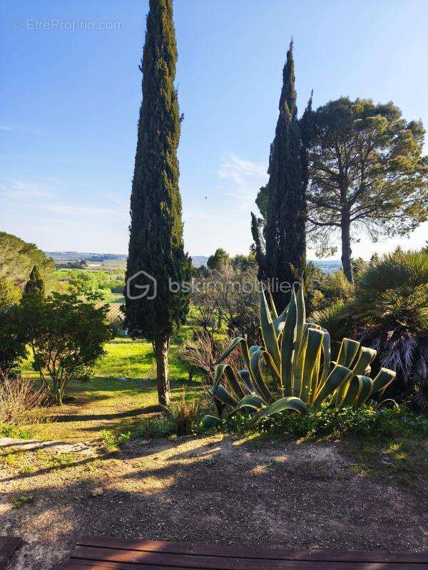 Domaine de 2 hectares - photo 22