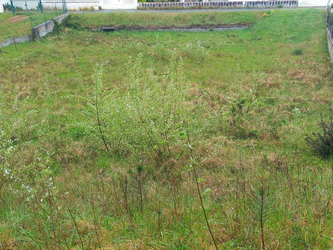 Photo 1 - Terrain à LA TRANCHE-SUR-MER