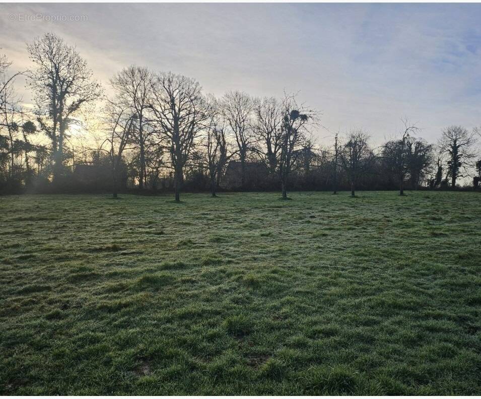 Terrain à LA LANDE-SAINT-LEGER
