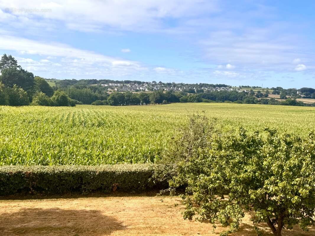 Maison à vendre 5 pièces LANNILIS (29) - photo 3