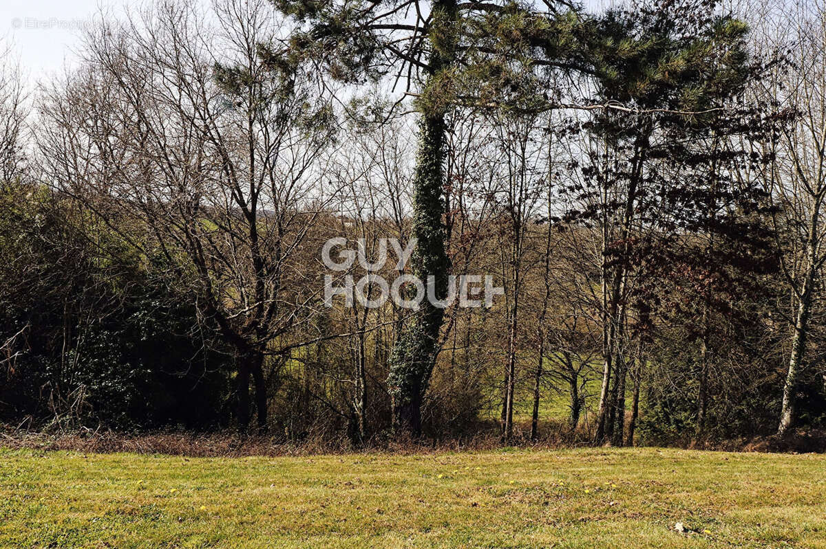 Terrain à SAULT-DE-NAVAILLES