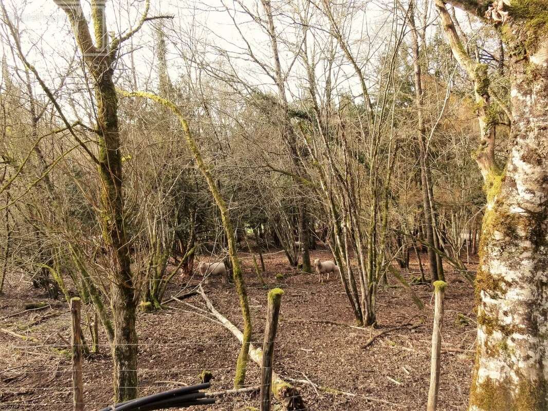 Maison à CHATEAU-L&#039;EVEQUE