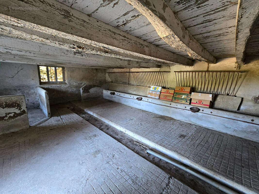 Corps de ferme a renover sur 4560m² - photo 12