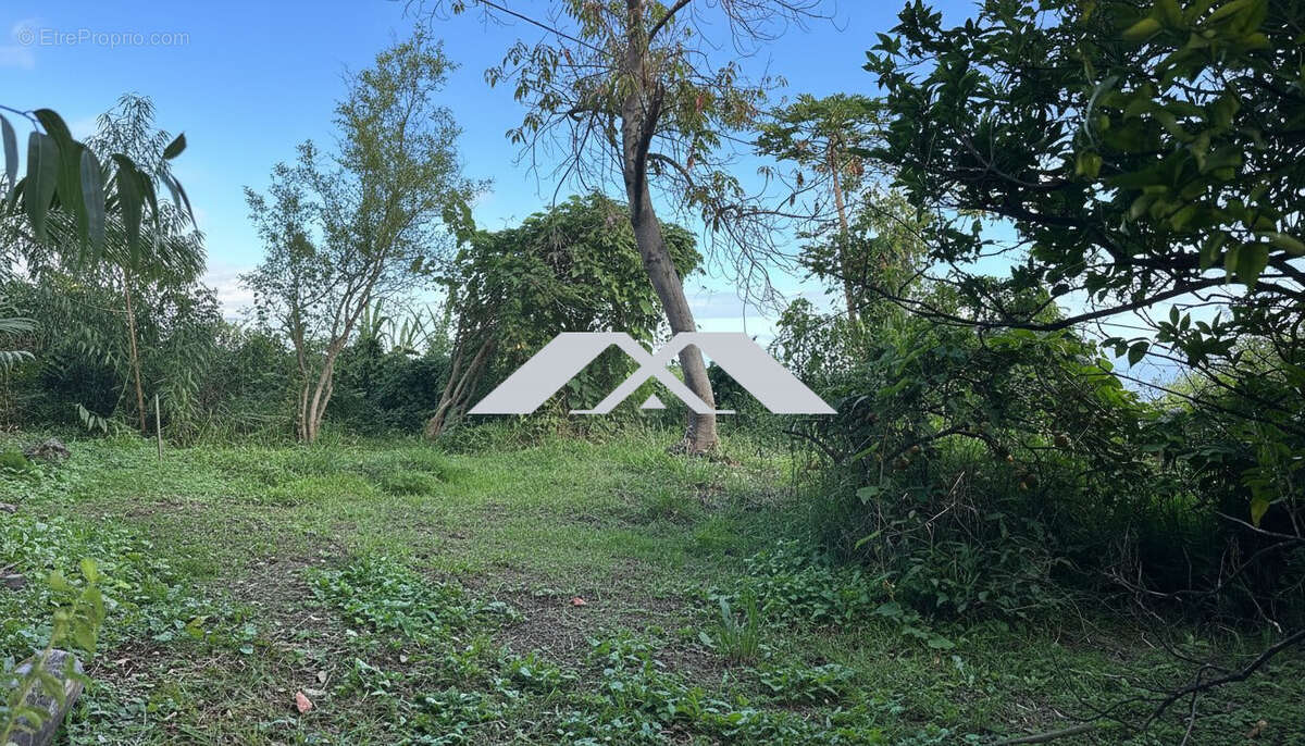 Terrain à LE TAMPON