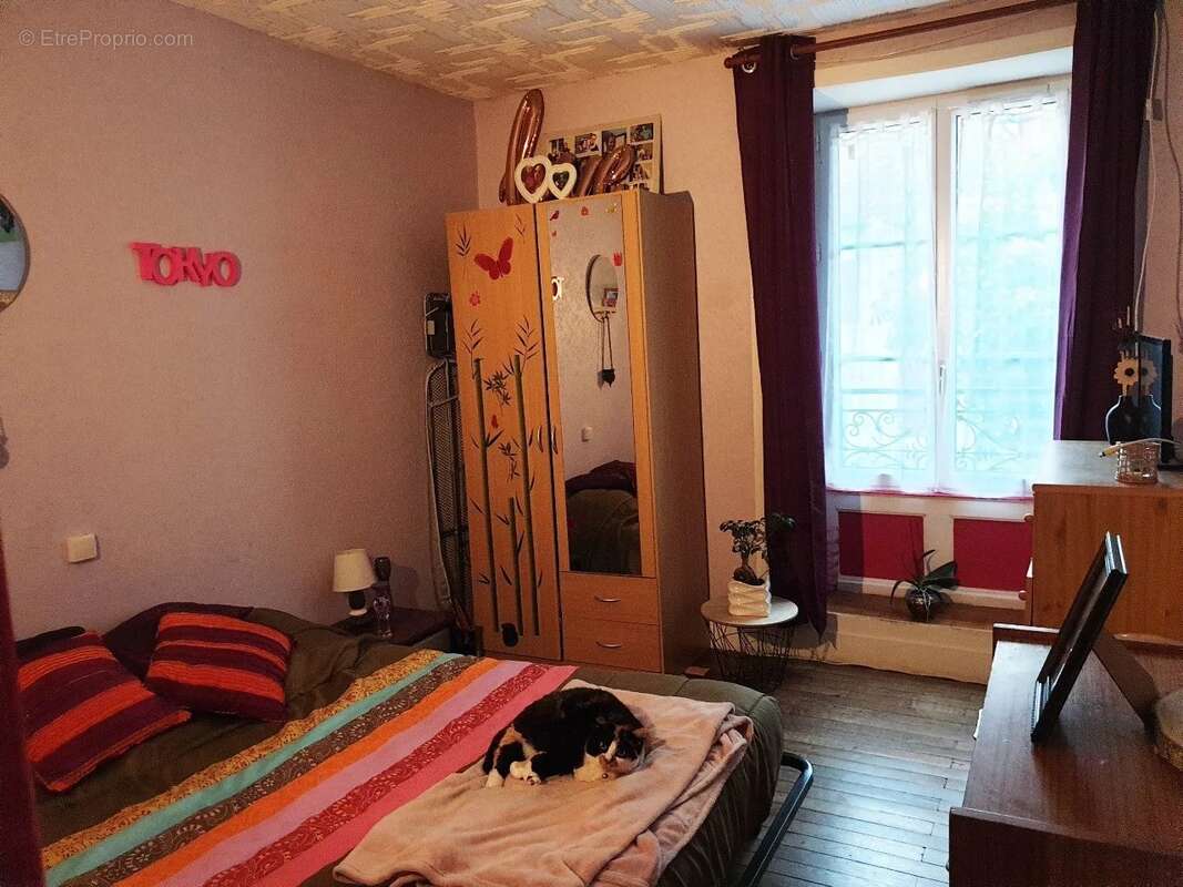 Restaurant avec deux appartements - photo 19