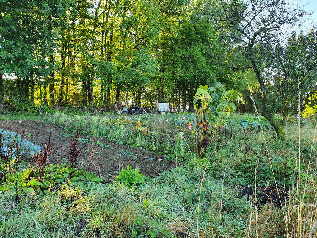 Terrain à SIGNY-LE-PETIT