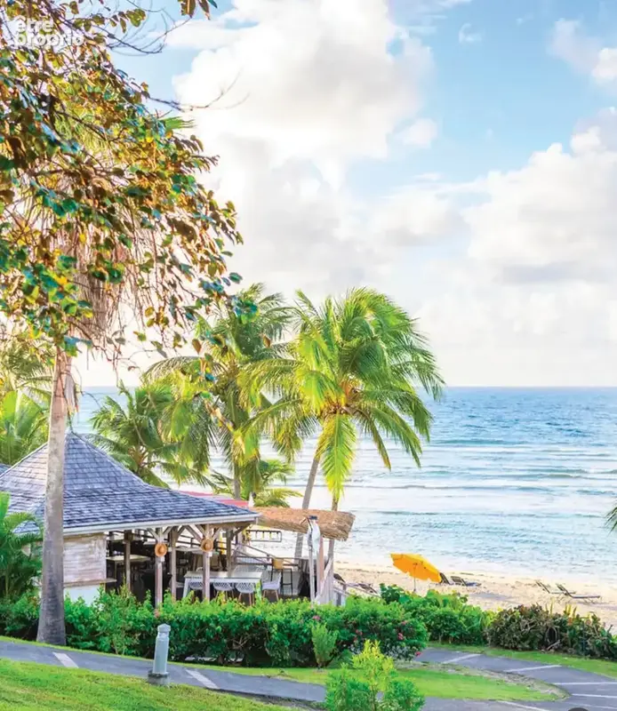 Studio vue mer en première ligne à Sainte-Anne   Dernier étage   Résidence sécurisée avec accès plage - photo 13