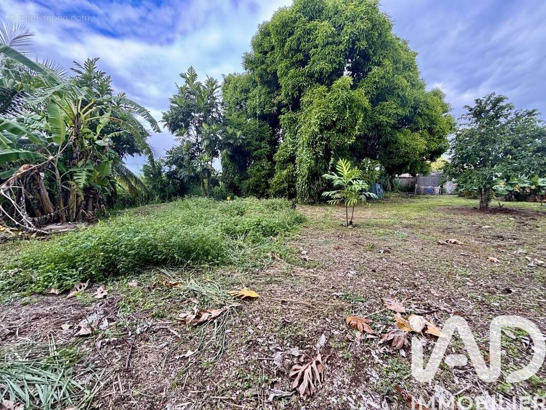 Photo 4 - Terrain à SAINTE-ROSE