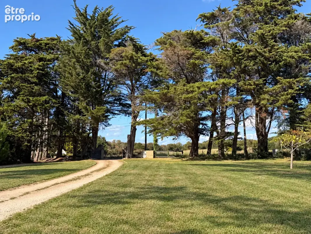 Propriété Vue Mer - 6 chambres - Plus de 7 000 m2 de terrain - photo 2