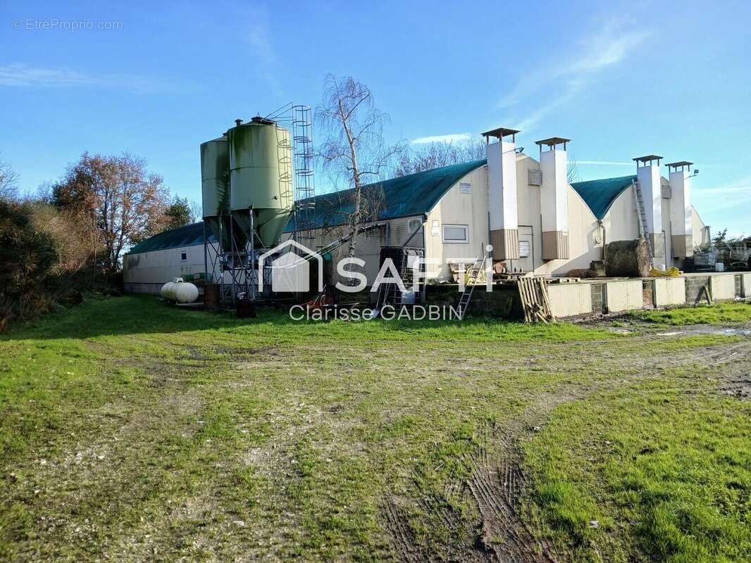 Maison 158 m² à Vergonnes  - photo 9