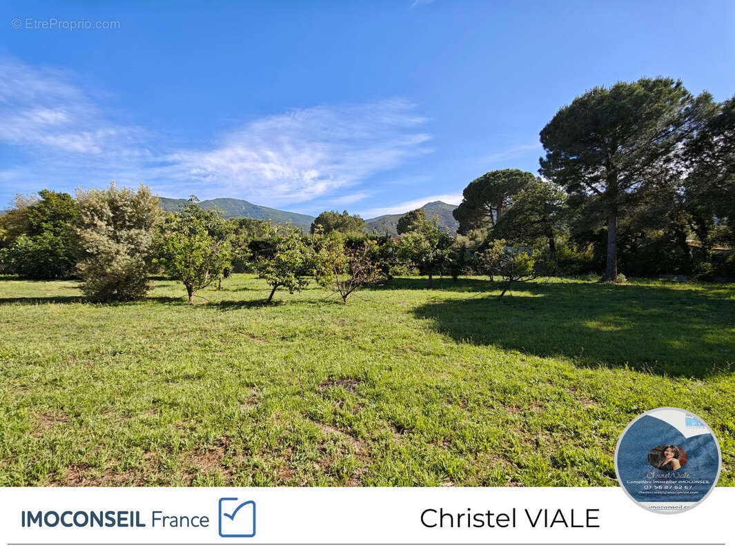 Terrain à LAROQUE-DES-ALBERES