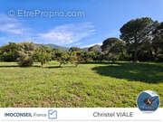 Terrain à LAROQUE-DES-ALBERES