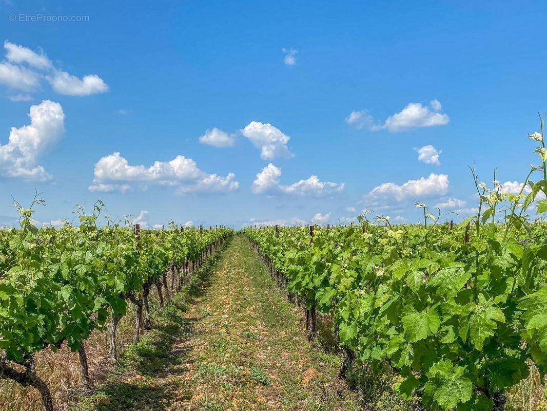 Maison à BEAUVOISIN