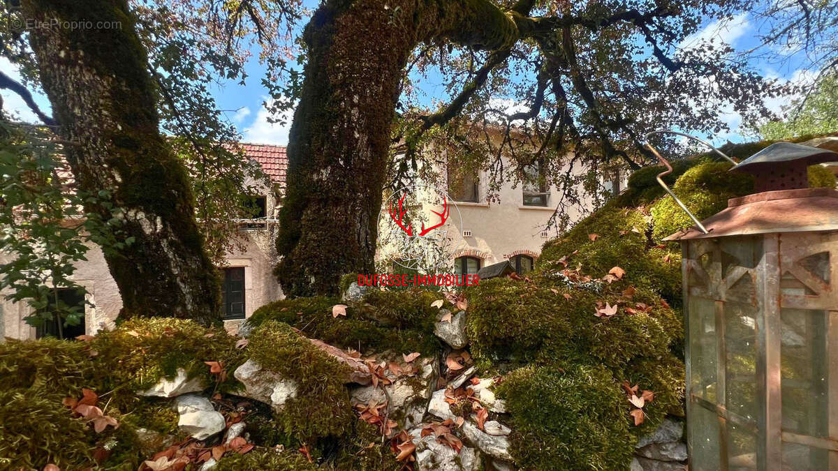 Propriété de 7ha au coeur du Quercy - photo 3