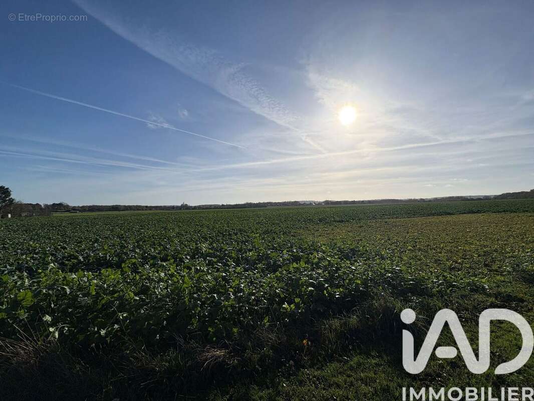 Photo 4 - Terrain à SAINT-MAURICE-MONTCOURONNE