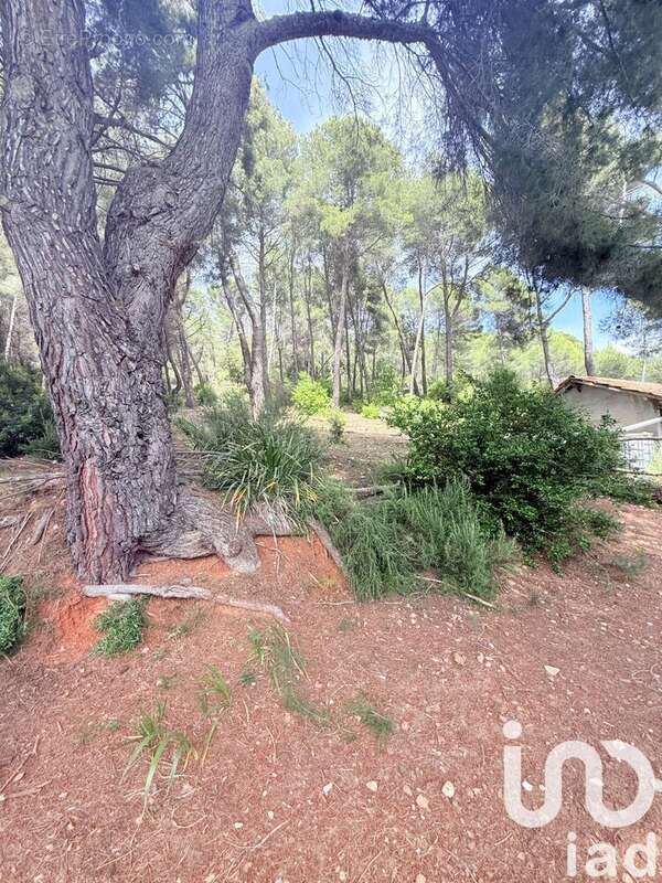 Photo 9 - Maison à SAINT-MARTIN-DU-VAR