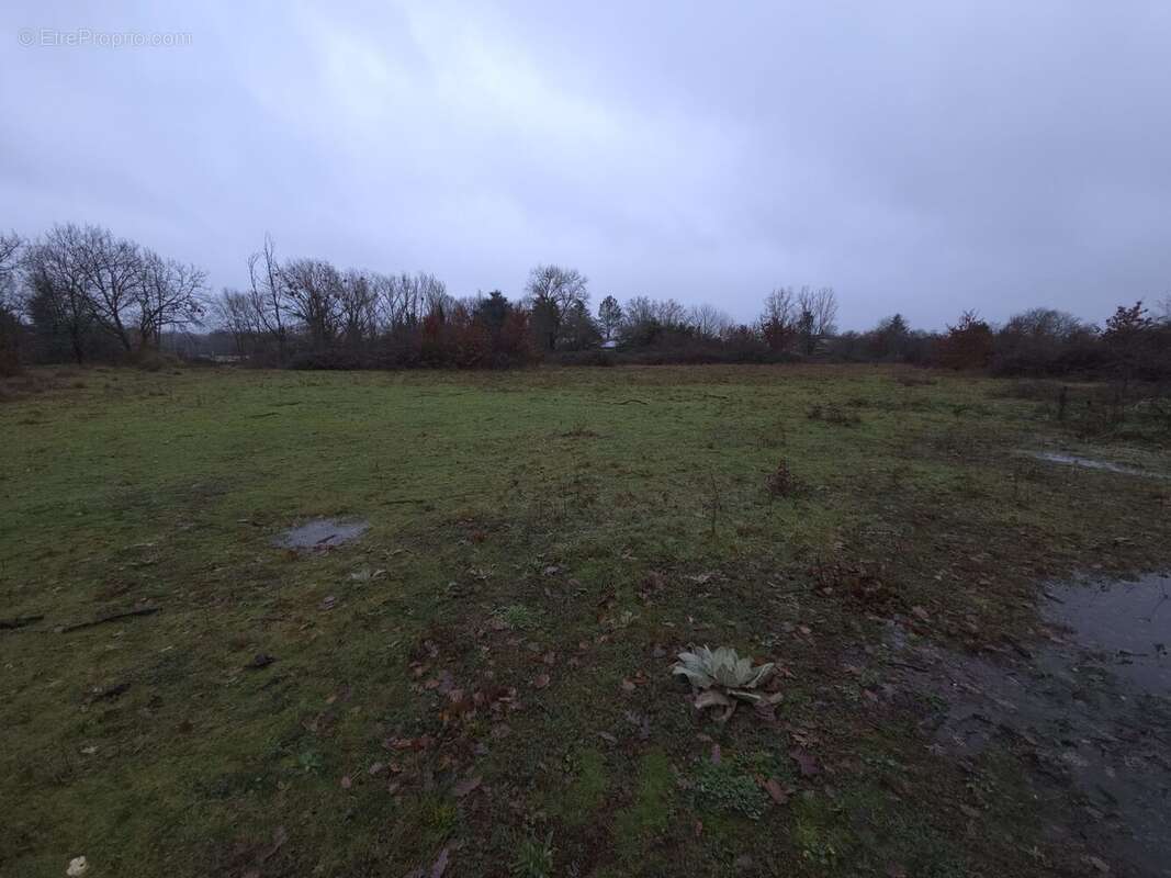 Terrain à MONTCARET