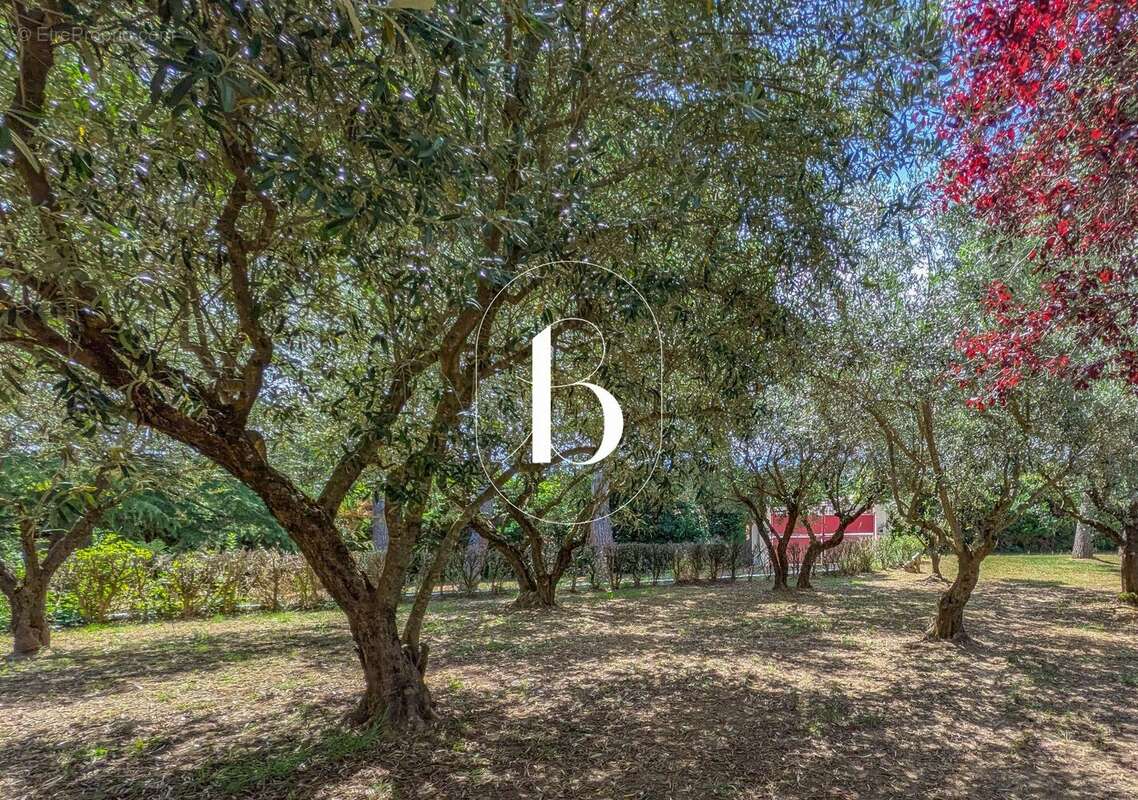 Maison 150 m² à Barjac  - photo 30